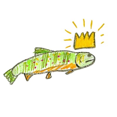 king trout profile image