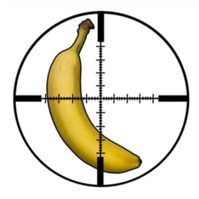 banana_ballistics